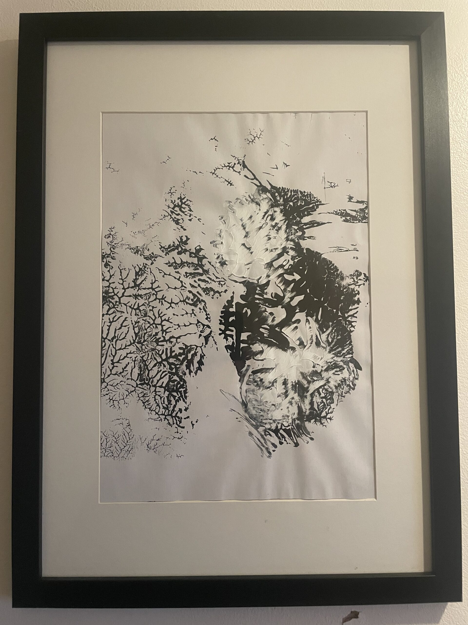 Landscape series black and white_n_01