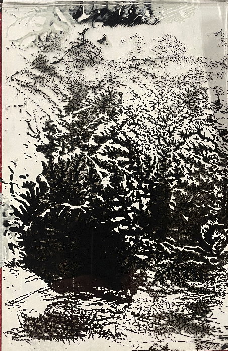 Mountains